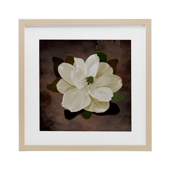 Stupell Industries Magnolia on Brown Birch Framed Print Under Glass design by Jennifer Stith, 13 x 13