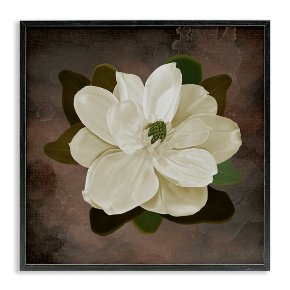 Stupell Industries Magnolia on Brown Black Framed Giclee Art design by Jennifer Stith, 12 x 12