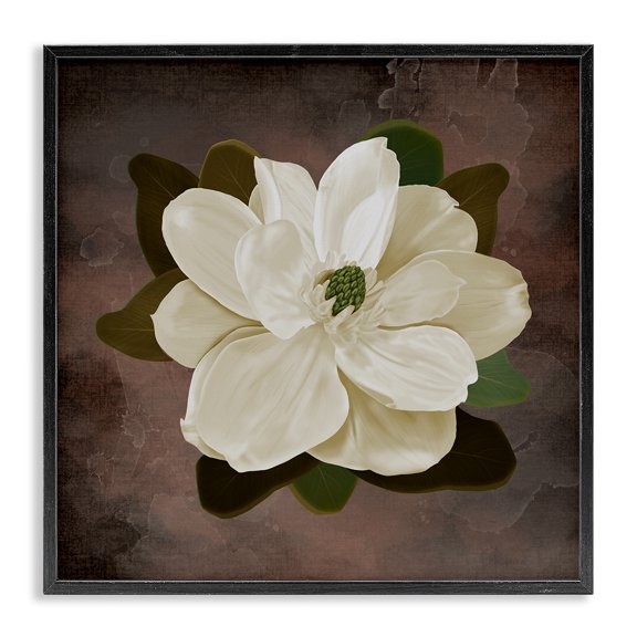 Stupell Industries Magnolia on Brown Black Framed Giclee Art design by Jennifer Stith, 24 x 24