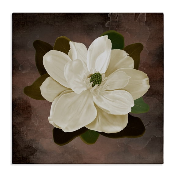 Stupell Industries Magnolia on Brown Canvas Wall Art design by Jennifer Stith, 30 x 30