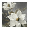 thumbnail image 1 of Stupell Industries Transitional Magnolias on Grey Canvas Art, 17 x 17, by Lanie Loreth, 1 of 8