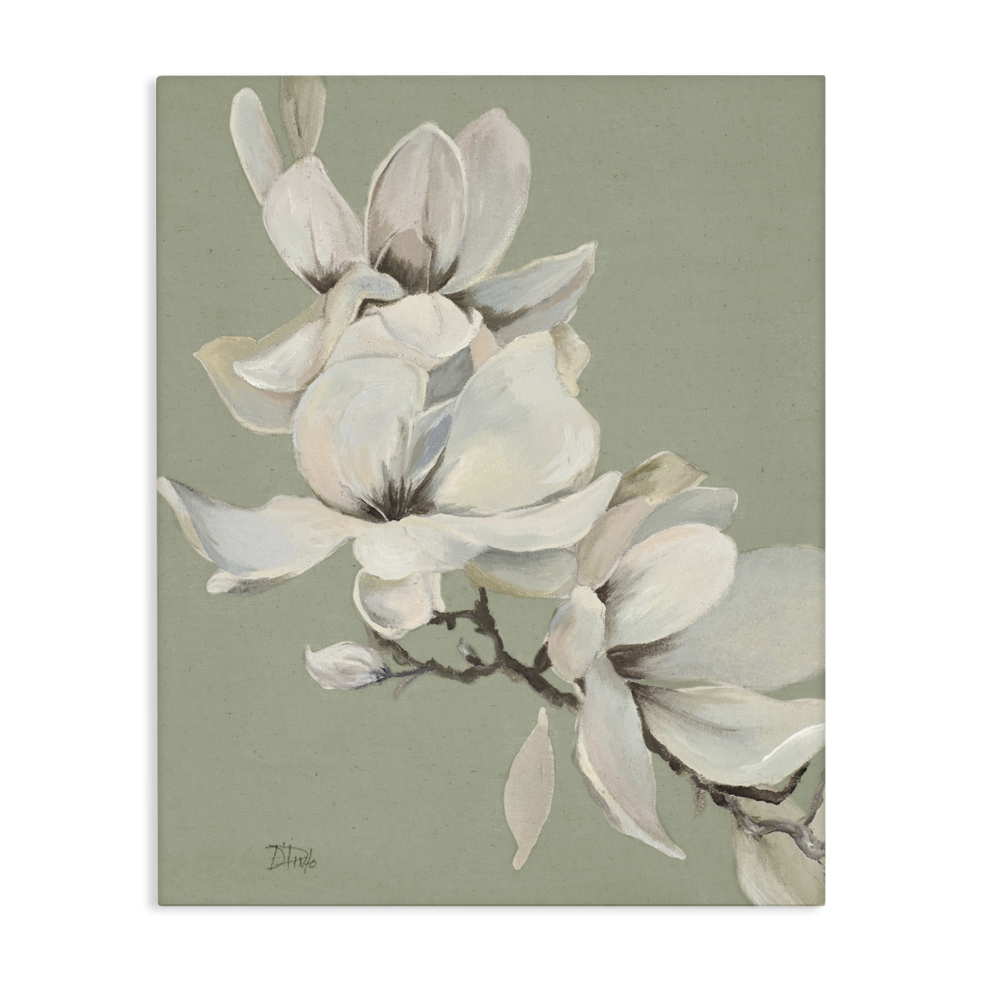 Stupell Industries Magnolias on Sage Florals Canvas Wall Art, design by Patricia Pinto