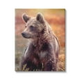 thumbnail image 1 of Stupell Industries Majestic Baby Bear Warm Sunlit Forest Habitat Photograph Gallery Wrapped Canvas Print Wall Art, Design by Alpenglow Workshop, 1 of 7