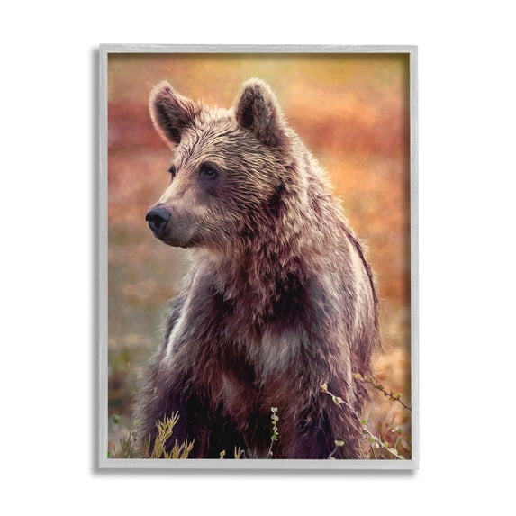 Stupell Industries Majestic Baby Bear Warm Sunlit Forest Habitat Photograph Gray Framed Art Print Wall Art, Design by Alpenglow Workshop