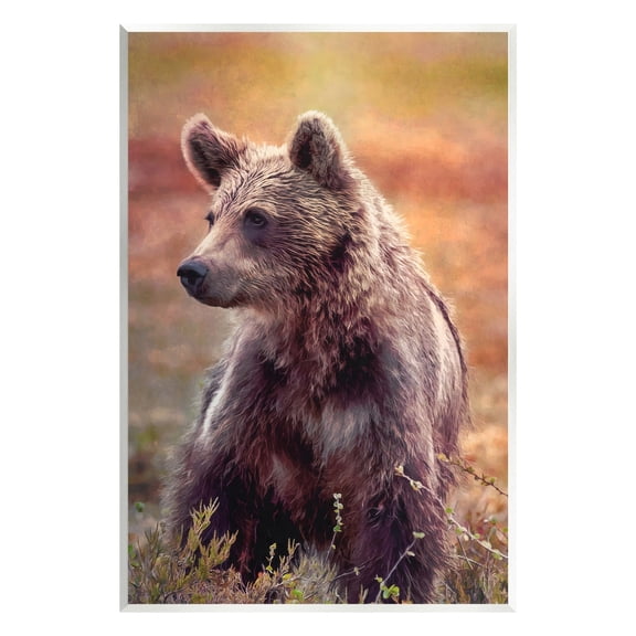 Stupell Industries Majestic Baby Bear Warm Sunlit Forest Habitat Photograph Unframed Art Print Wall Art, Design by Alpenglow Workshop