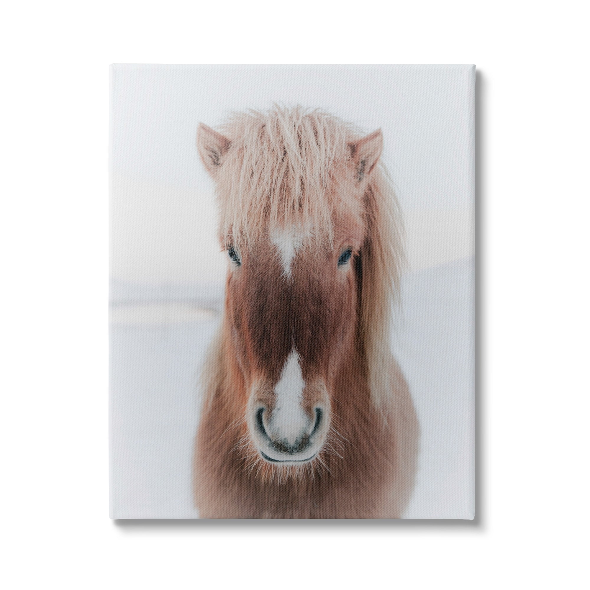 Stupell Industries Majestic Closeup Brown Horse White Winter Landscape Canvas Wall Art, 36 x 48, Design by Amy Brinkman