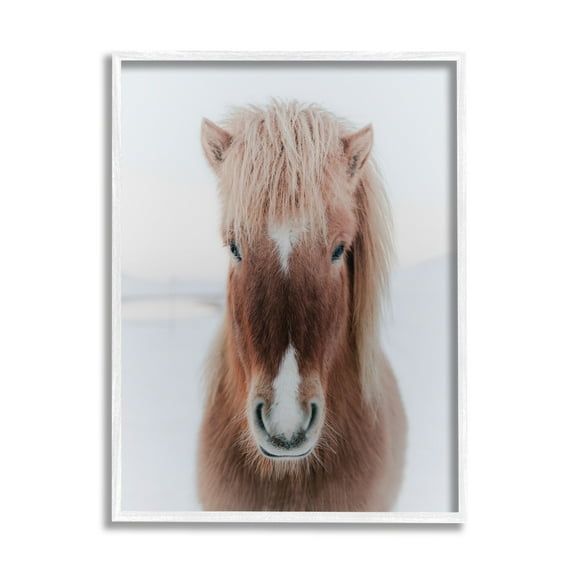 Stupell Industries Majestic Closeup Brown Horse White Winter Landscape Framed Wall Art, 11 x 14, Design by Amy Brinkman