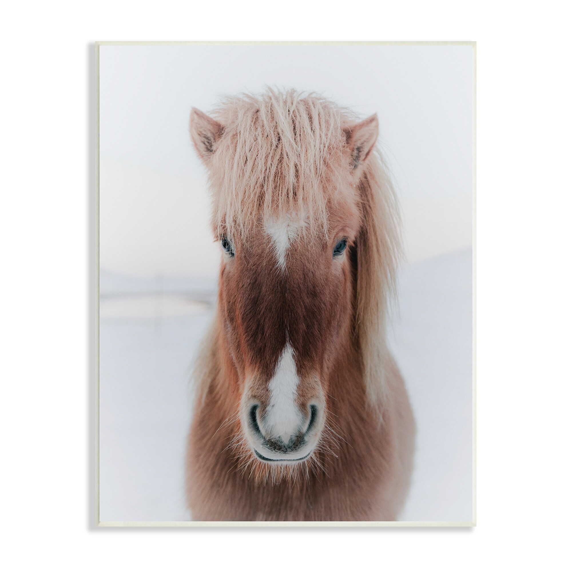 Stupell Industries Majestic Closeup Brown Horse White Winter Landscape Wood Wall Art, 10 x 15, Design by Amy Brinkman