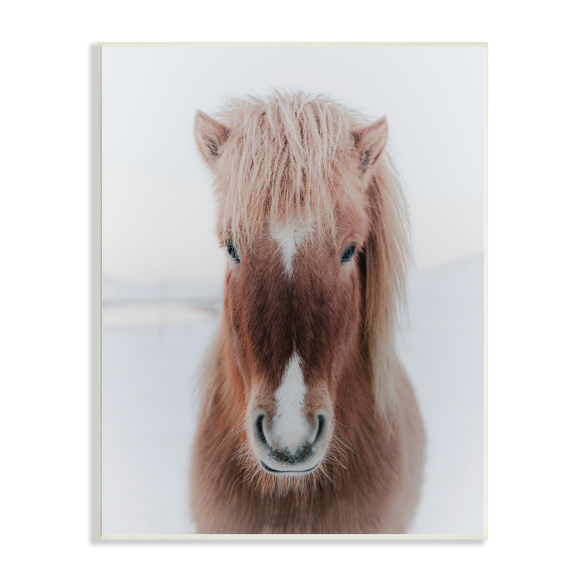 Stupell Industries Majestic Closeup Brown Horse White Winter Landscape Wood Wall Art, 13 x 19, Design by Amy Brinkman