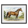 thumbnail image 1 of Stupell Industries Rustic Lodge Majestic Horse in Pastoral Landscape Black Framed Print Under Glass, 20 x 14, by Creative Studio, 1 of 8