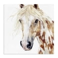 thumbnail image 1 of Stupell Industries Farmhouse Majestic Mane Spotted Horse Canvas Art, 17 x 17, by Svetlana Aleynikova, 1 of 8