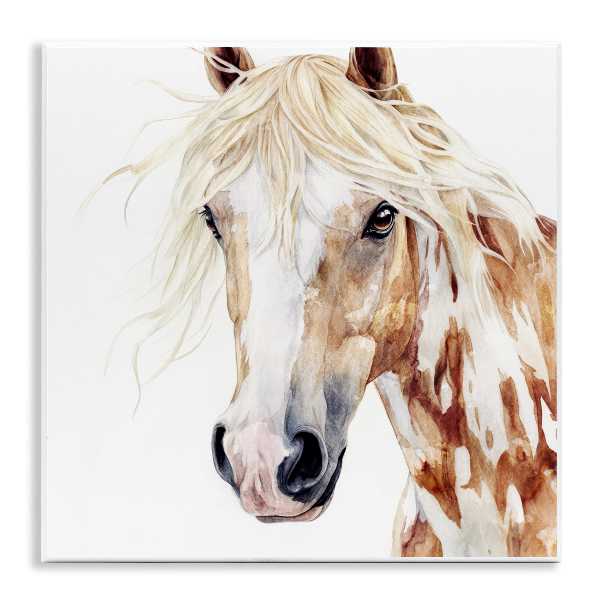 Stupell Industries Majestic Mane Spotted Horse Wall Plaque Art, design by Svetlana Aleynikova