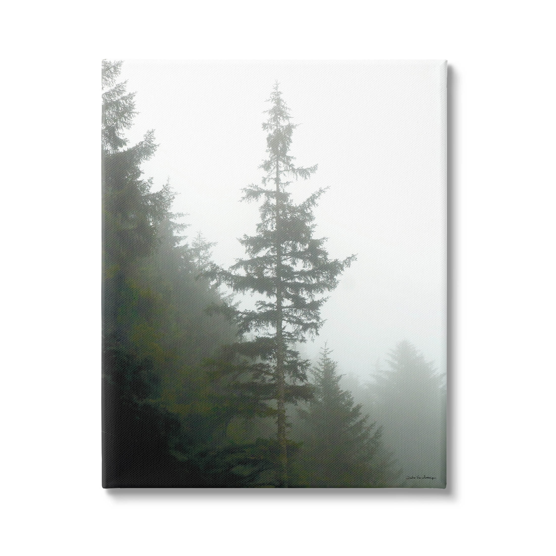 Stupell Industries Majestic Pine Foggy Forest Photograph Gallery Wrapped Canvas Print Wall Art, Design by Debra Van Swearingen