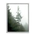 thumbnail image 1 of Stupell Industries Majestic Pine Foggy Forest Photograph Gray Framed Art Print Wall Art, Design by Debra Van Swearingen, 1 of 7