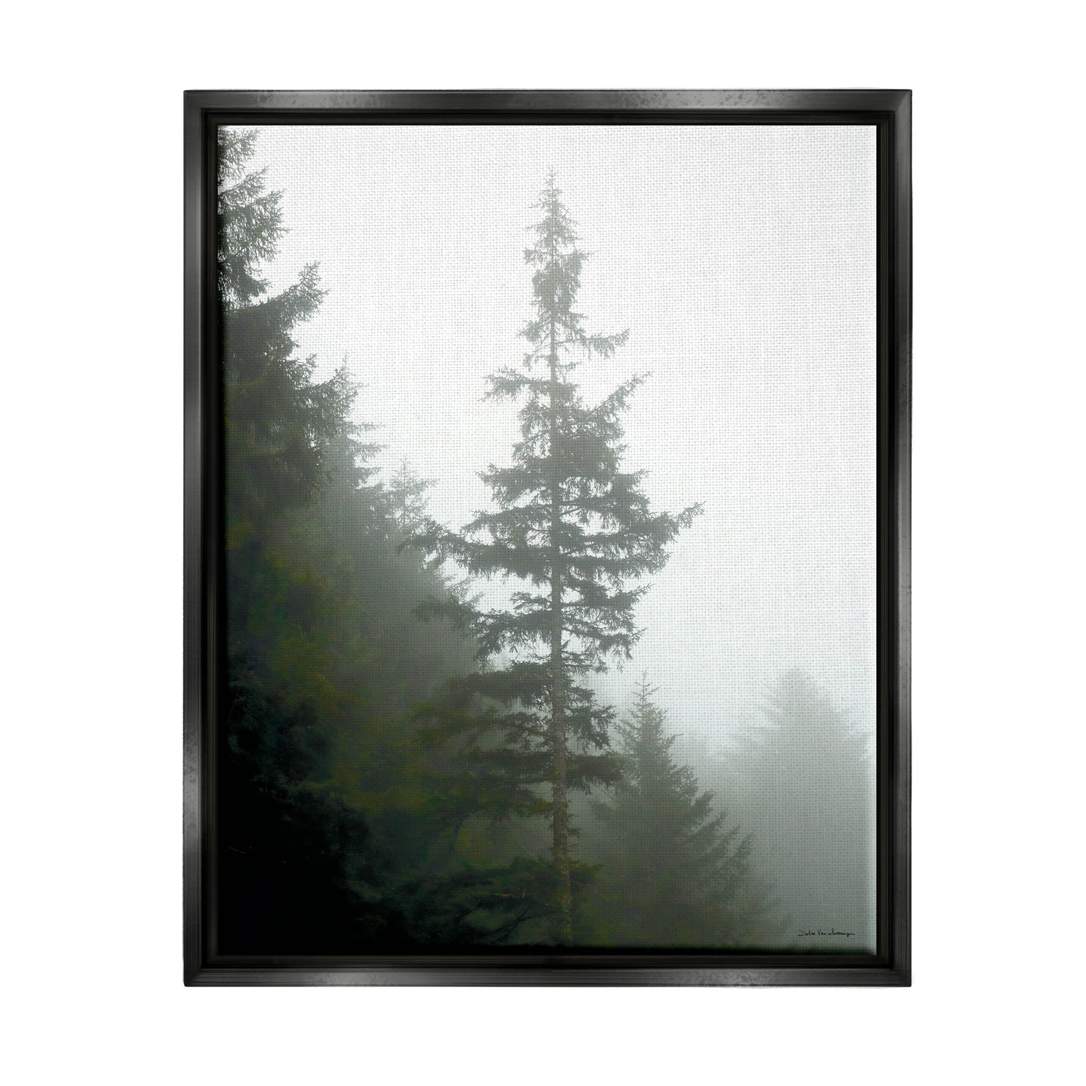 Stupell Industries Majestic Pine Foggy Forest Photograph Jet Black Floating Framed Canvas Print Wall Art, Design by Debra Van Swearingen