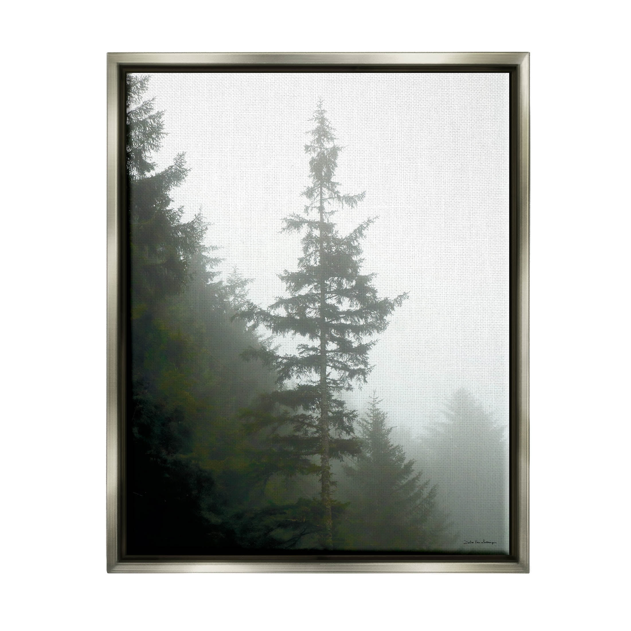 Stupell Industries Majestic Pine Foggy Forest Photograph Luster Gray Floating Framed Canvas Print Wall Art, Design by Debra Van Swearingen