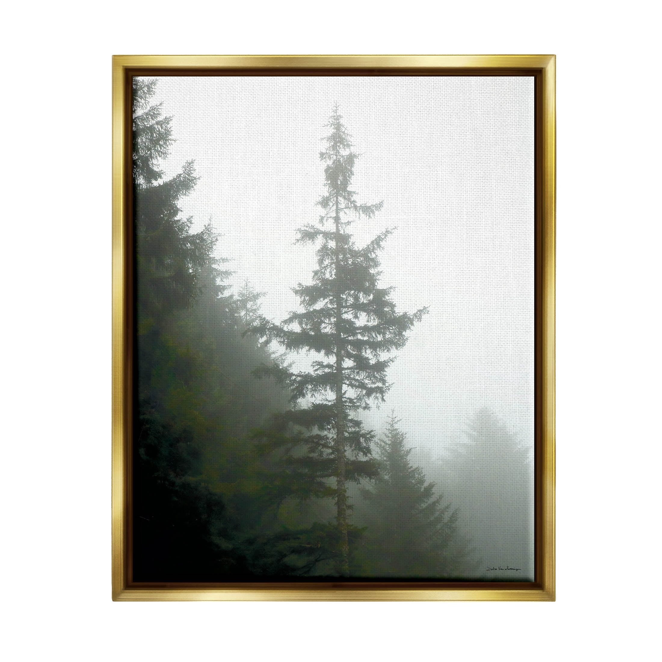 Stupell Industries Majestic Pine Foggy Forest Photograph Metallic Gold Floating Framed Canvas Print Wall Art, Design by Debra Van Swearingen