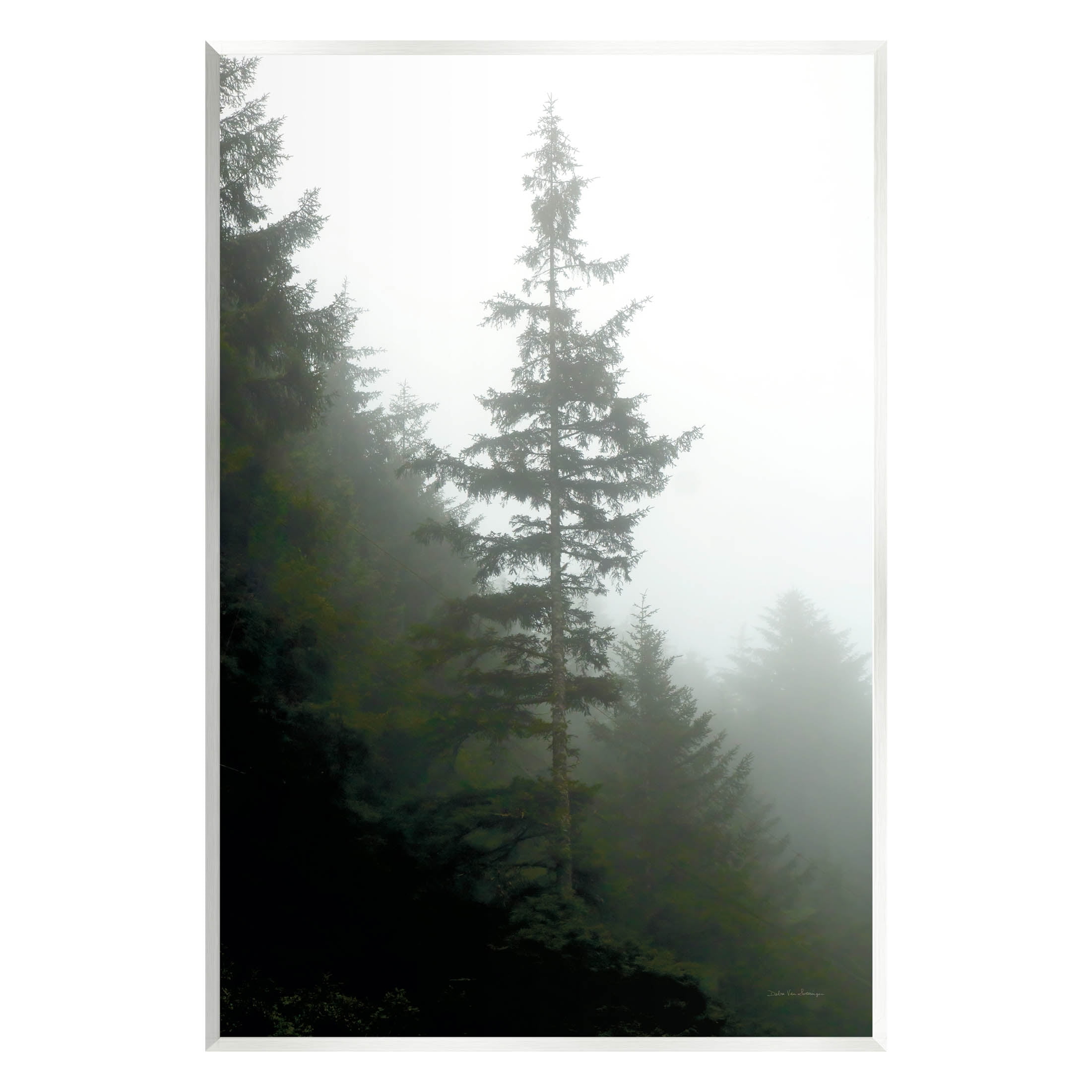 Stupell Industries Majestic Pine Foggy Forest Photograph Unframed Art Print Wall Art, Design by Debra Van Swearingen