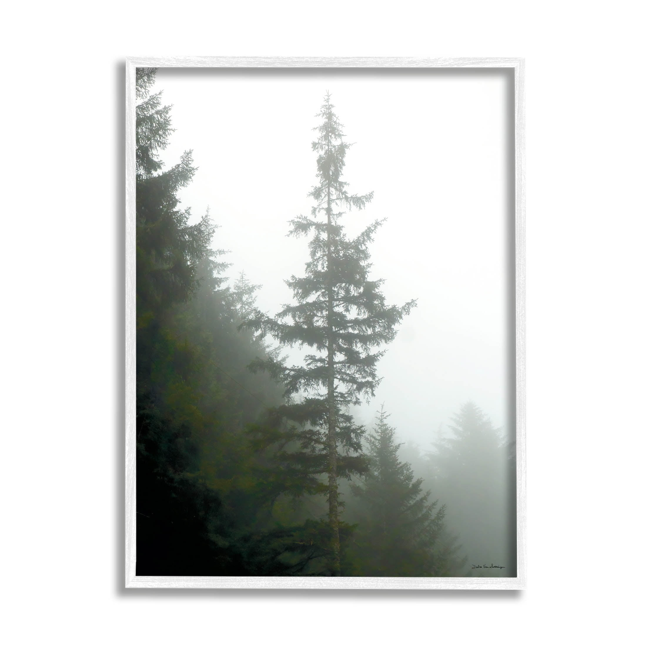 Stupell Industries Majestic Pine Foggy Forest Photograph White Framed Art Print Wall Art, Design by Debra Van Swearingen