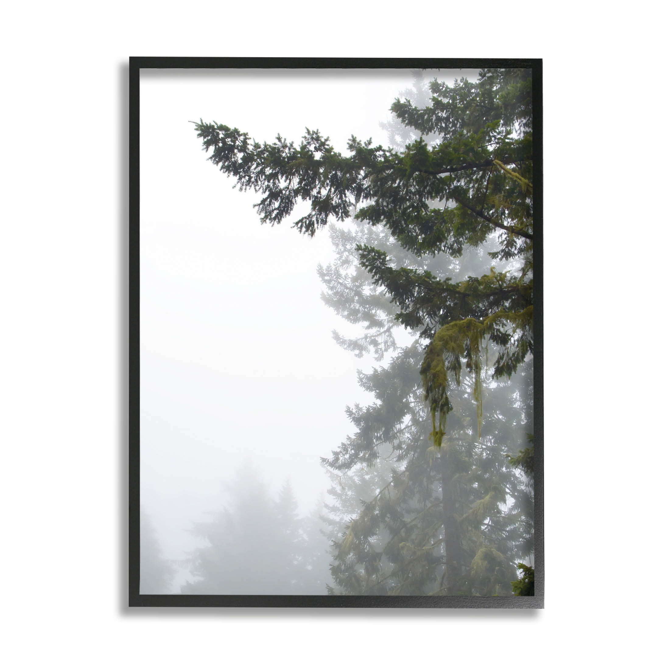 Stupell Industries Majestic Pine Tree Overhang Photograph Black Framed Art Print Wall Art, Design by Debra Van Swearingen