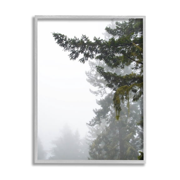 Stupell Industries Majestic Pine Tree Overhang Photograph Gray Framed Art Print Wall Art, Design by Debra Van Swearingen