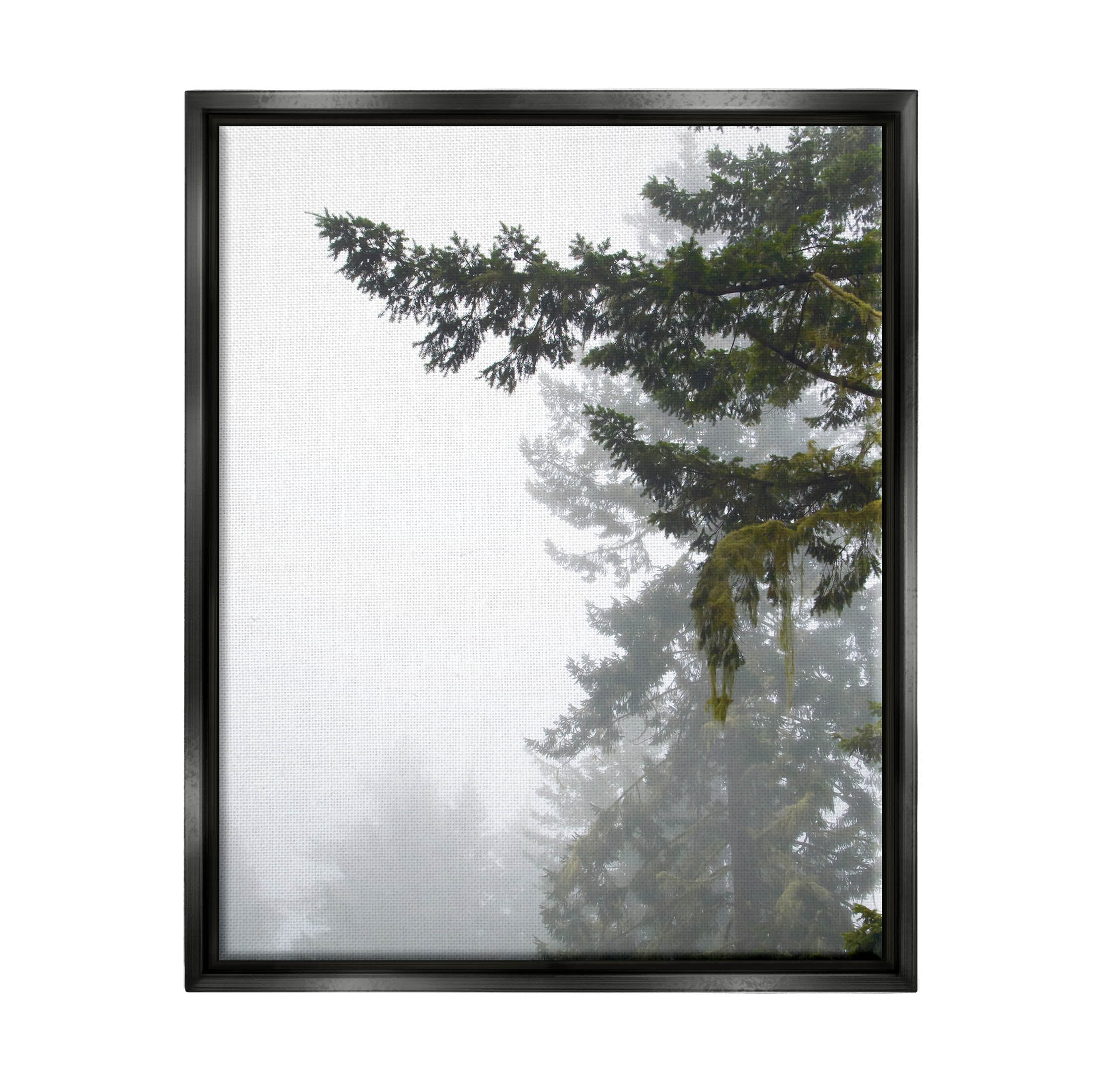 Stupell Industries Majestic Pine Tree Overhang Photograph Jet Black Floating Framed Canvas Print Wall Art, Design by Debra Van Swearingen