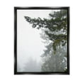 thumbnail image 1 of Stupell Industries Majestic Pine Tree Overhang Photograph Jet Black Floating Framed Canvas Print Wall Art, Design by Debra Van Swearingen, 1 of 6