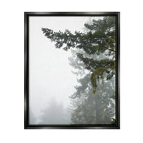 Stupell Industries Majestic Pine Tree Overhang Photograph Jet Black Floating Framed Canvas Print Wall Art, Design by Debra Van Swearingen