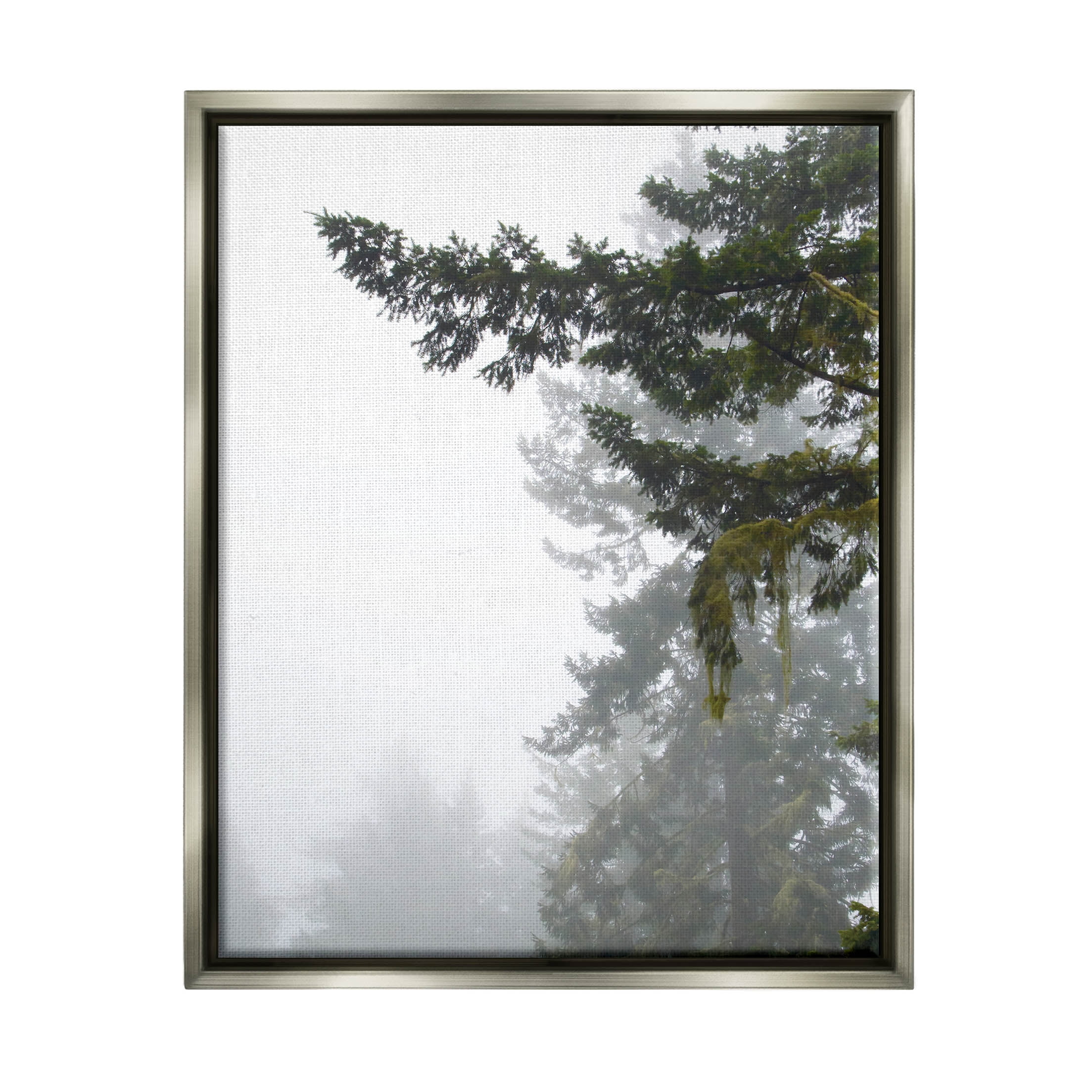 Stupell Industries Majestic Pine Tree Overhang Photograph Luster Gray Floating Framed Canvas Print Wall Art, Design by Debra Van Swearingen