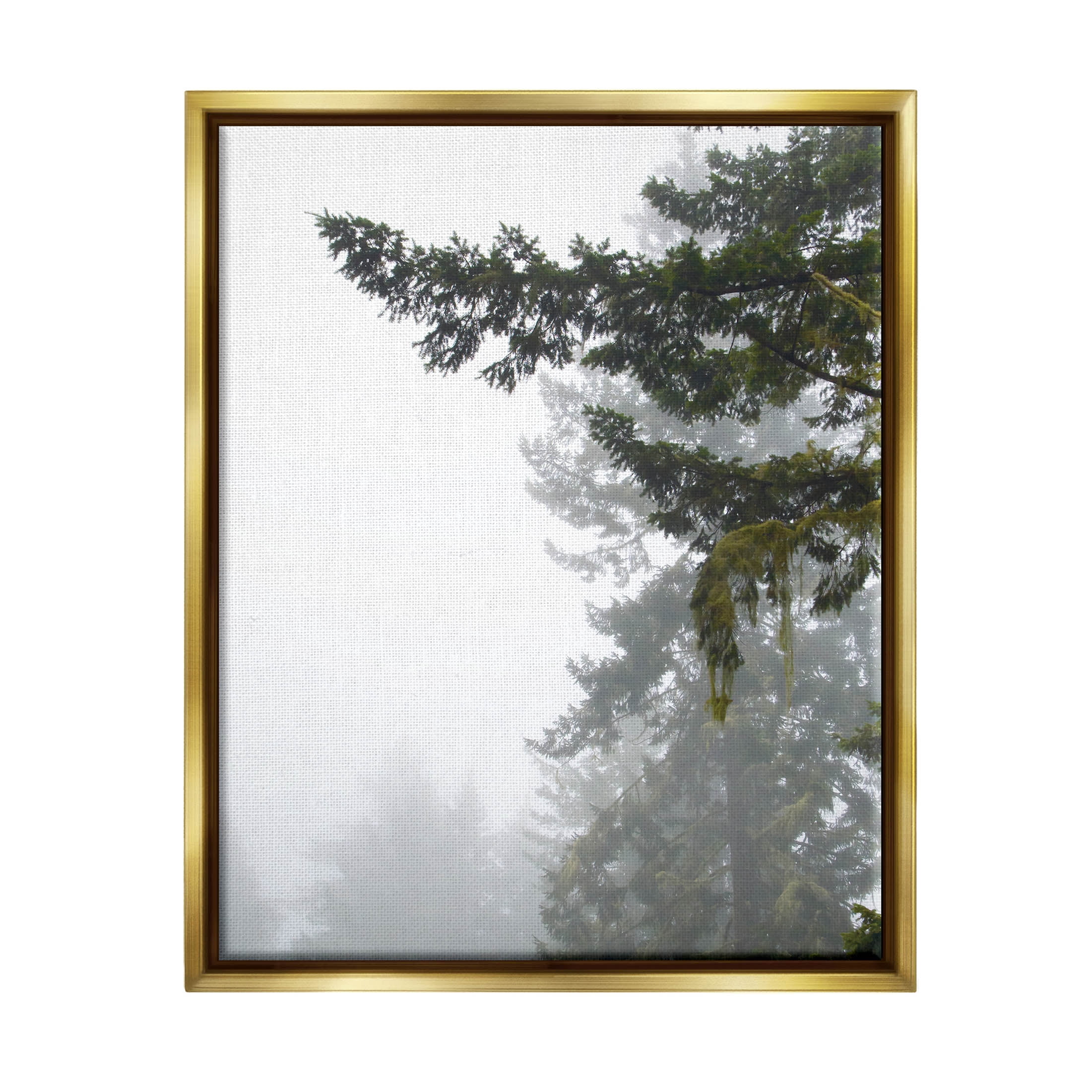 Stupell Industries Majestic Pine Tree Overhang Photograph Metallic Gold Floating Framed Canvas Print Wall Art, Design by Debra Van Swearingen