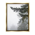 thumbnail image 1 of Stupell Industries Majestic Pine Tree Overhang Photograph Metallic Gold Floating Framed Canvas Print Wall Art, Design by Debra Van Swearingen, 1 of 6
