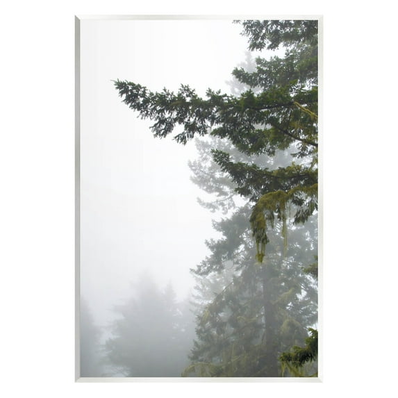 Stupell Industries Majestic Pine Tree Overhang Photograph Unframed Art Print Wall Art, Design by Debra Van Swearingen