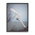 thumbnail image 1 of Stupell Industries Majestic Snowy Owl Flying Wingspan Wildlife Photography Photograph Black Framed Art Print Wall Art, Design by Carrie Ann Grippo-Pike, 1 of 5