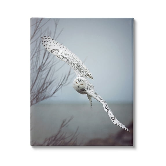 Stupell Industries Majestic Snowy Owl Flying Wingspan Wildlife Photography Photograph Gallery Wrapped Canvas Print Wall Art, Design by Carrie Ann Grippo-Pike