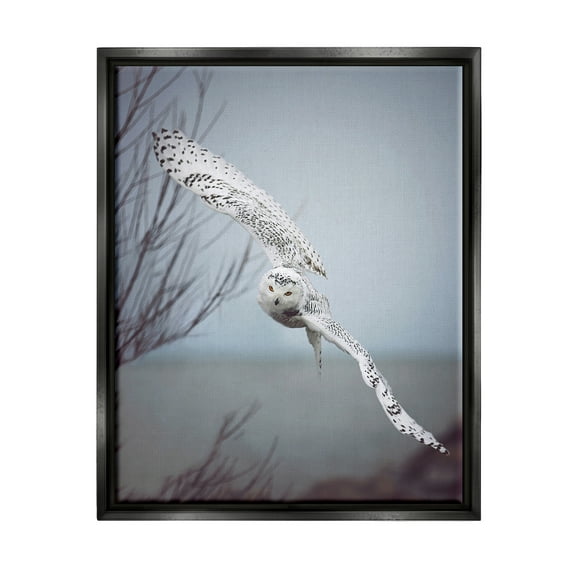Stupell Industries Majestic Snowy Owl Flying Wingspan Wildlife Photography Photograph Jet Black Floating Framed Canvas Print Wall Art, Design by Carrie Ann Grippo-Pike