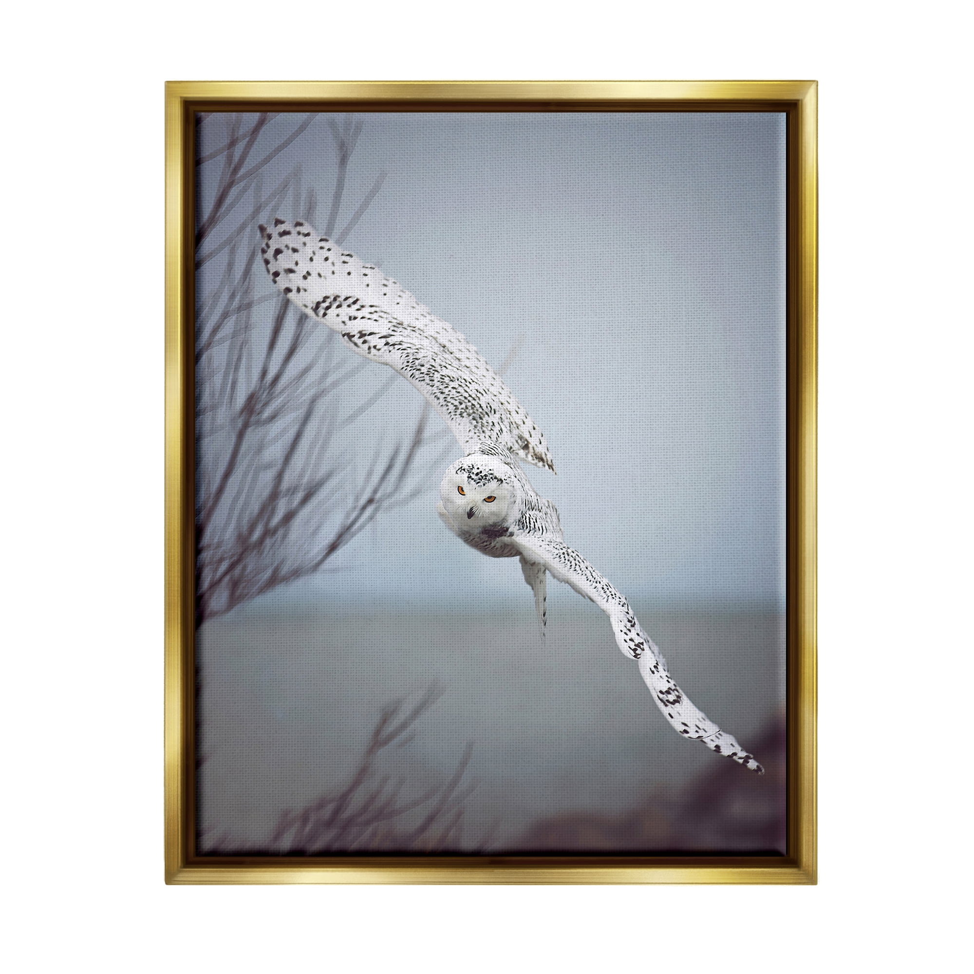 Stupell Industries Majestic Snowy Owl Flying Wingspan Wildlife Photography Photograph Metallic Gold Floating Framed Canvas Print Wall Art, Design by Carrie Ann Grippo-Pike