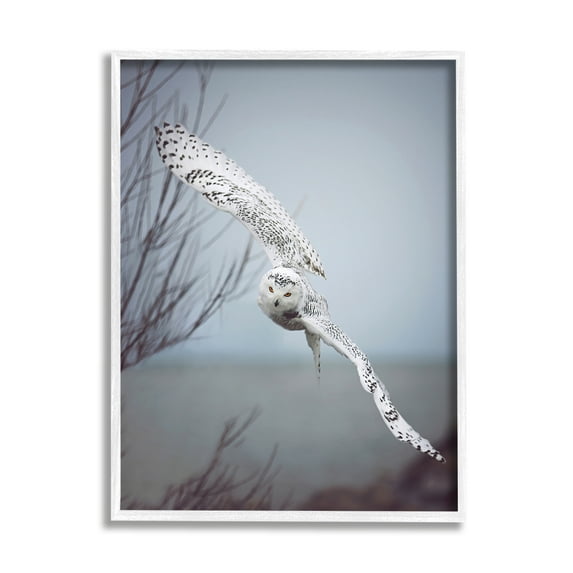 Stupell Industries Majestic Snowy Owl Flying Wingspan Wildlife Photography Photograph White Framed Art Print Wall Art, Design by Carrie Ann Grippo-Pike