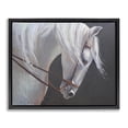 thumbnail image 1 of Stupell Industries Transitional Majestic White Mare Black Floating Frame Canvas Art, 21 x 17, by Jadei Graphics, 1 of 8