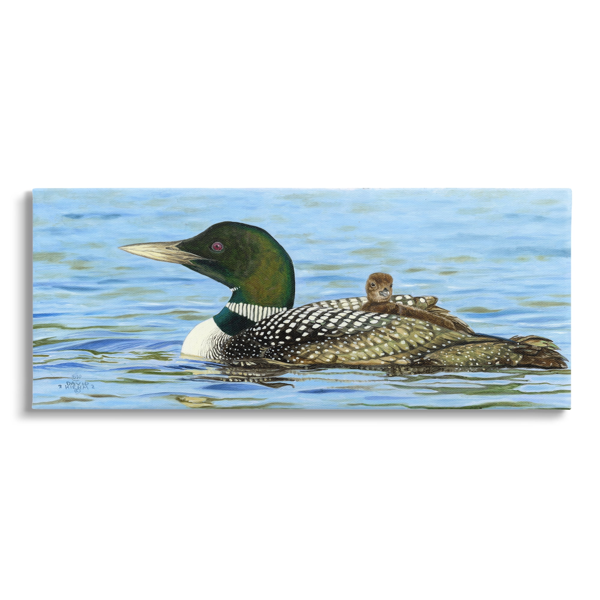 Stupell Industries Mallard & Duckling in Water Animals & Insects Photography Gallery Wrapped Canvas Print Wall Art, 24 x 10