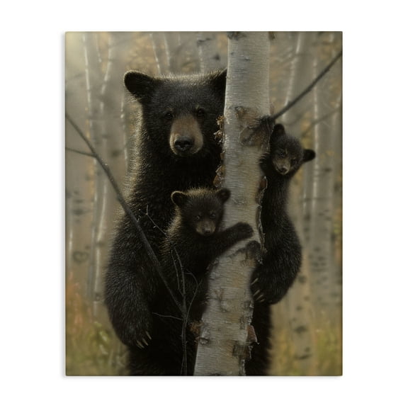 Stupell Industries Mama Bear Behind Tree Canvas Wall Art design by Collin Bogle, 20 x 16