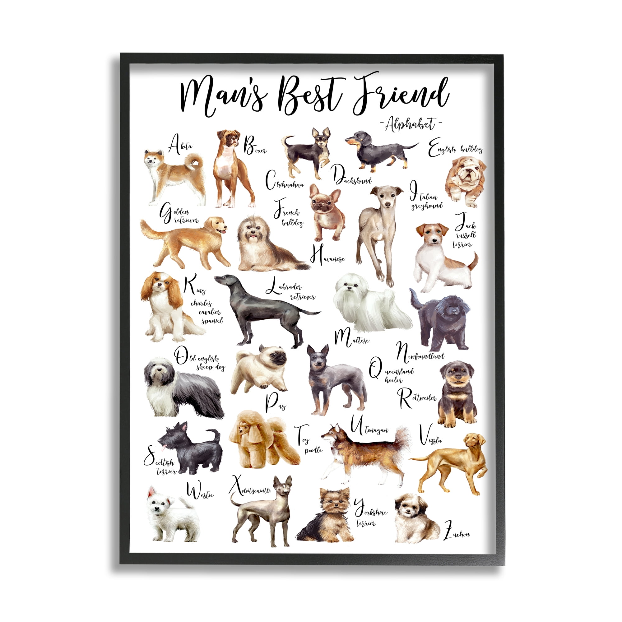 Stupell Industries Man's Best Friend Alphabet Playful Dog ABC Chart Animals & Insects Painting Black Framed Art Print Wall Art, 16 x 20