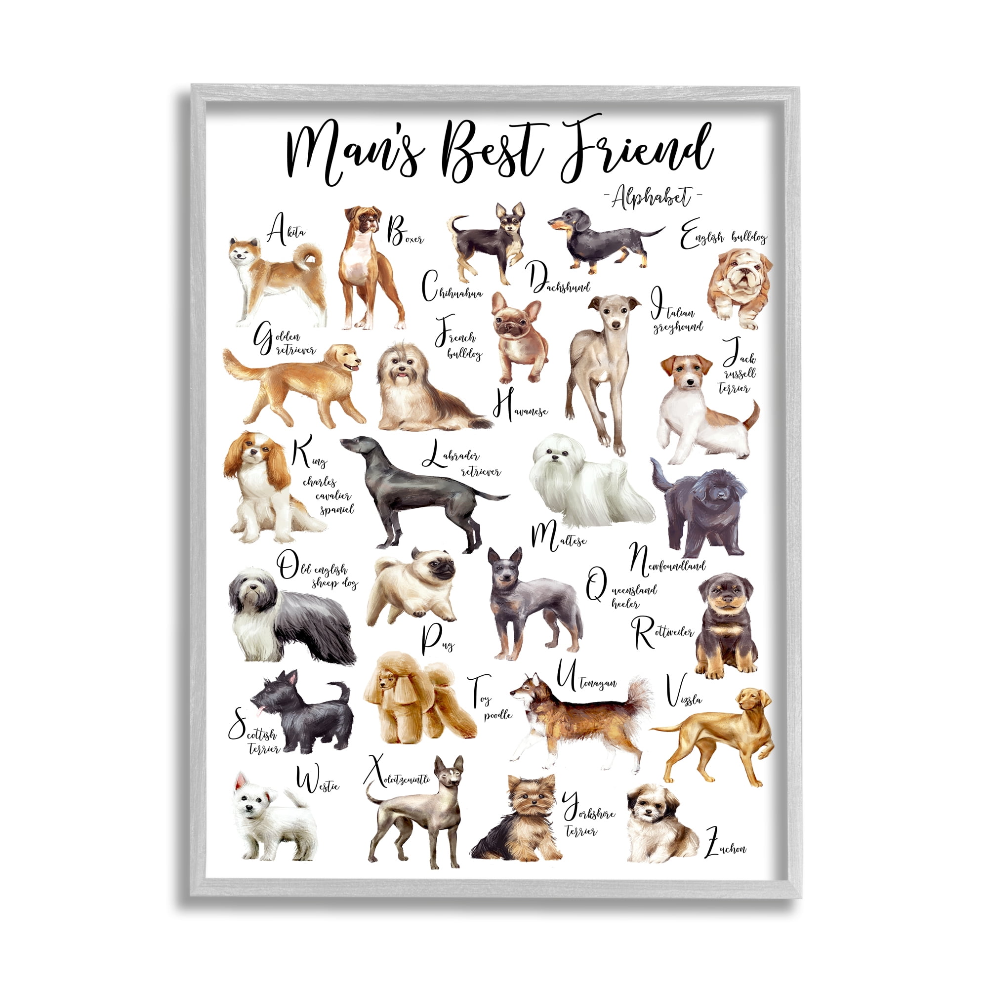 Stupell Industries Man's Best Friend Alphabet Playful Dog ABC Chart Animals & Insects Painting Gray Framed Art Print Wall Art, 11 x 14