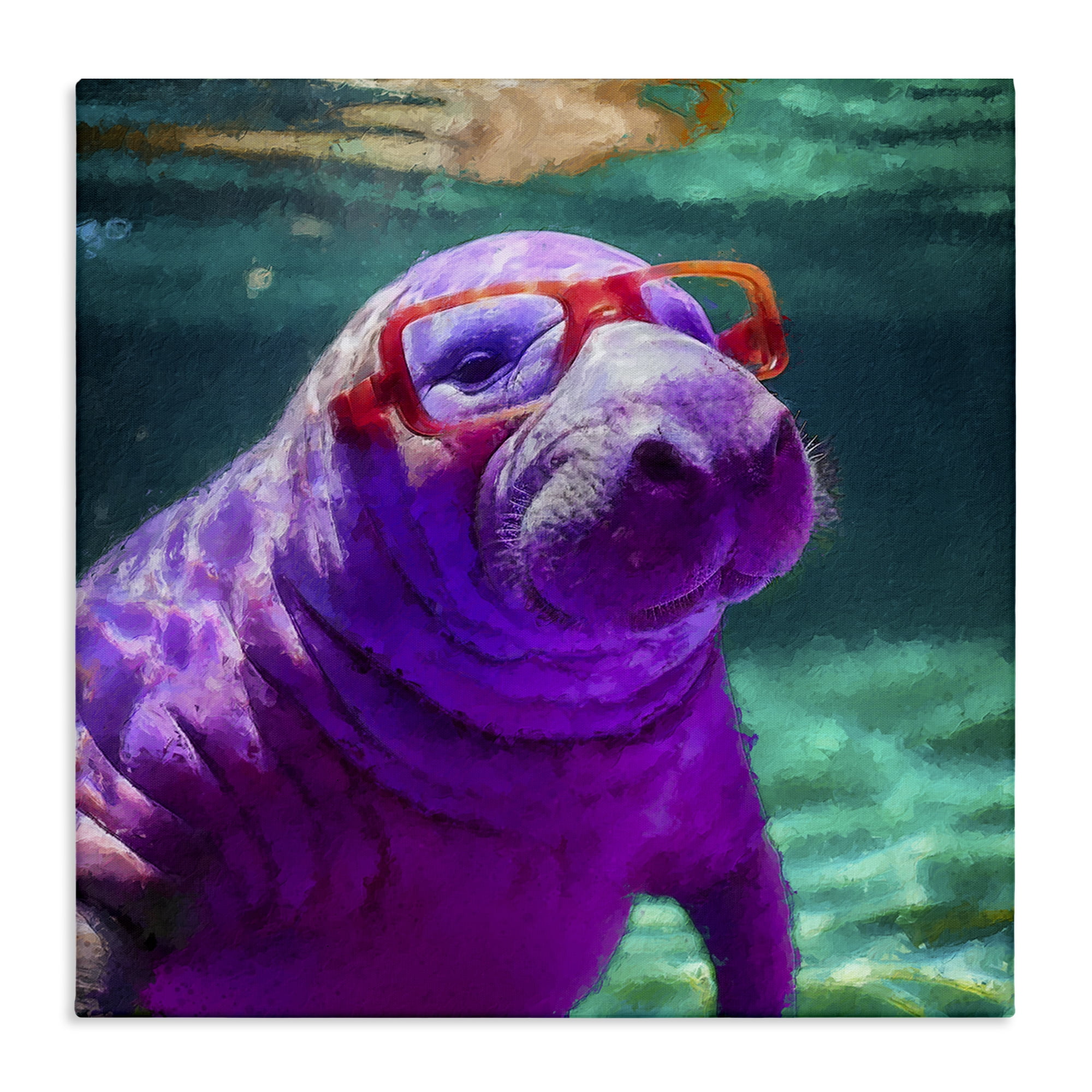 Stupell Industries Manatee with Glasses Animals & Insects Painting Gallery Wrapped Canvas Art Print Wall Art, 36 x 36