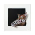 thumbnail image 1 of Stupell Industries Manx Cat Grooming Green Eyes Optical Illusion Painting Gallery Wrapped Canvas Print Wall Art, Design by Alan Weston, 1 of 7