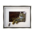 thumbnail image 1 of Stupell Industries Manx Cat Resting Curious Mouse Peering Illusion Painting Luster Gray Floating Framed Canvas Print Wall Art, Design by Alan Weston, 1 of 5