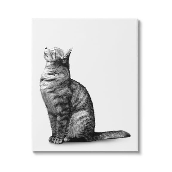 Stupell Industries Manx Cat Sitting Calmly Detailed Casual Portrait Graphic Art Gallery Wrapped Canvas Print Wall Art, Design by Ziwei Li
