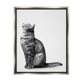 thumbnail image 1 of Stupell Industries Manx Cat Sitting Calmly Detailed Casual Portrait Graphic Art Luster Gray Floating Framed Canvas Print Wall Art, Design by Ziwei Li, 1 of 5