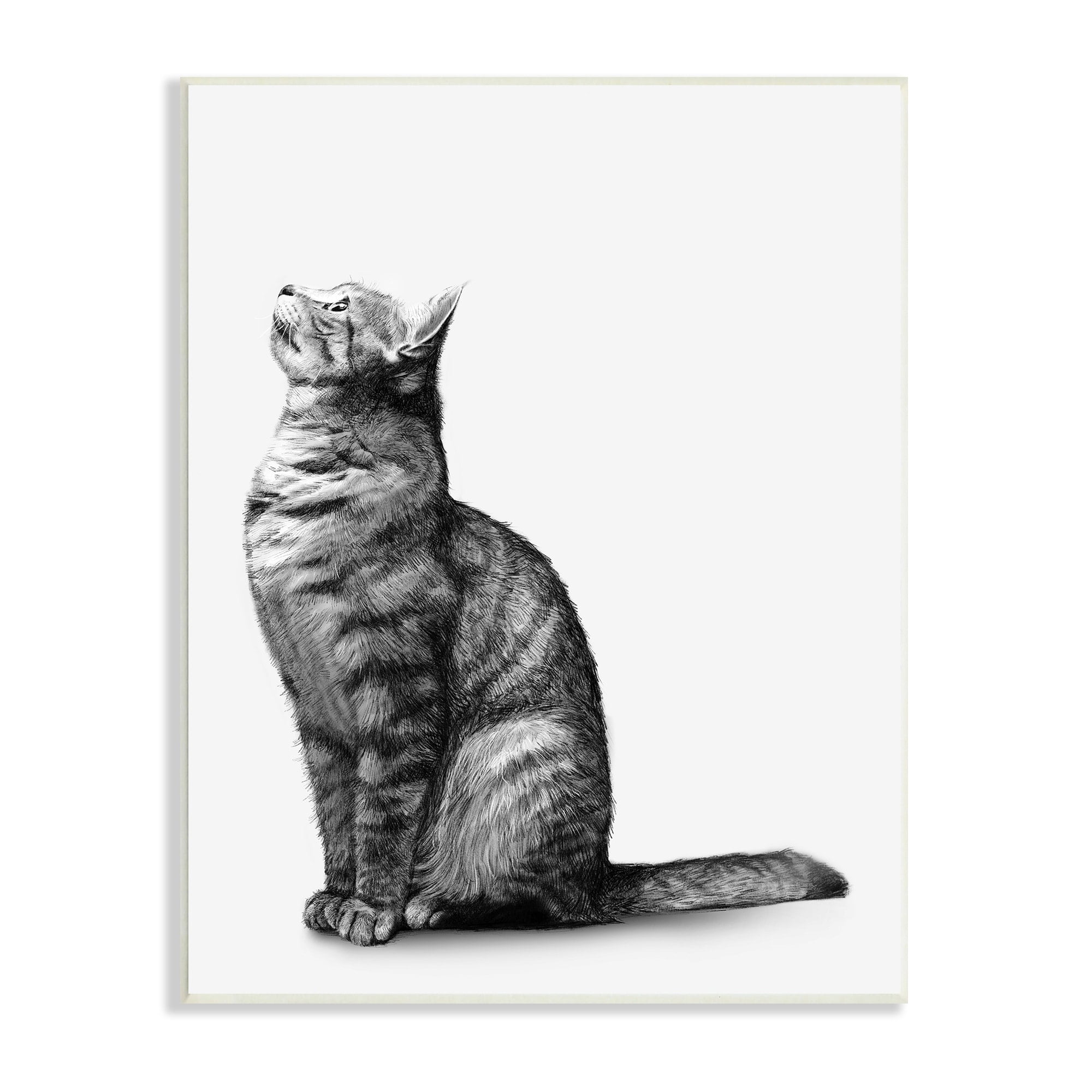 Stupell Industries Manx Cat Sitting Calmly Detailed Casual Portrait Graphic Art Unframed Art Print Wall Art, Design by Ziwei Li