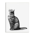 thumbnail image 1 of Stupell Industries Manx Cat Sitting Calmly Detailed Casual Portrait Graphic Art Unframed Art Print Wall Art, Design by Ziwei Li, 1 of 5