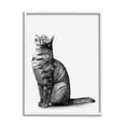 thumbnail image 1 of Stupell Industries Manx Cat Sitting Calmly Detailed Casual Portrait Graphic Art White Framed Art Print Wall Art, Design by Ziwei Li, 1 of 5